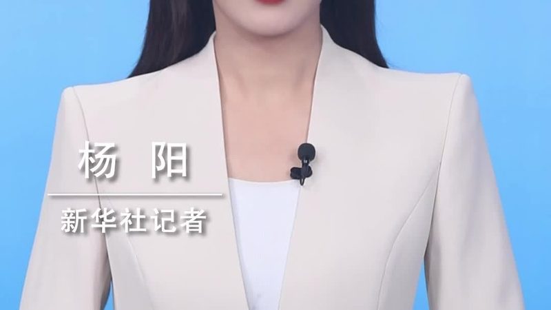 上海数据中台：揭秘大数据平台的构建与价值